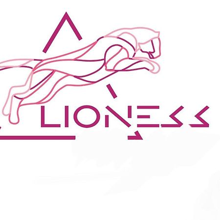 Lioness Estate - Dunedin Extérieur photo